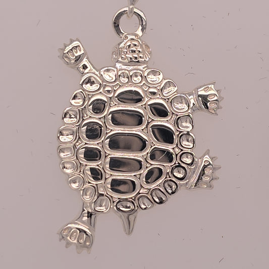 Turtle Teachings Silver Pendant