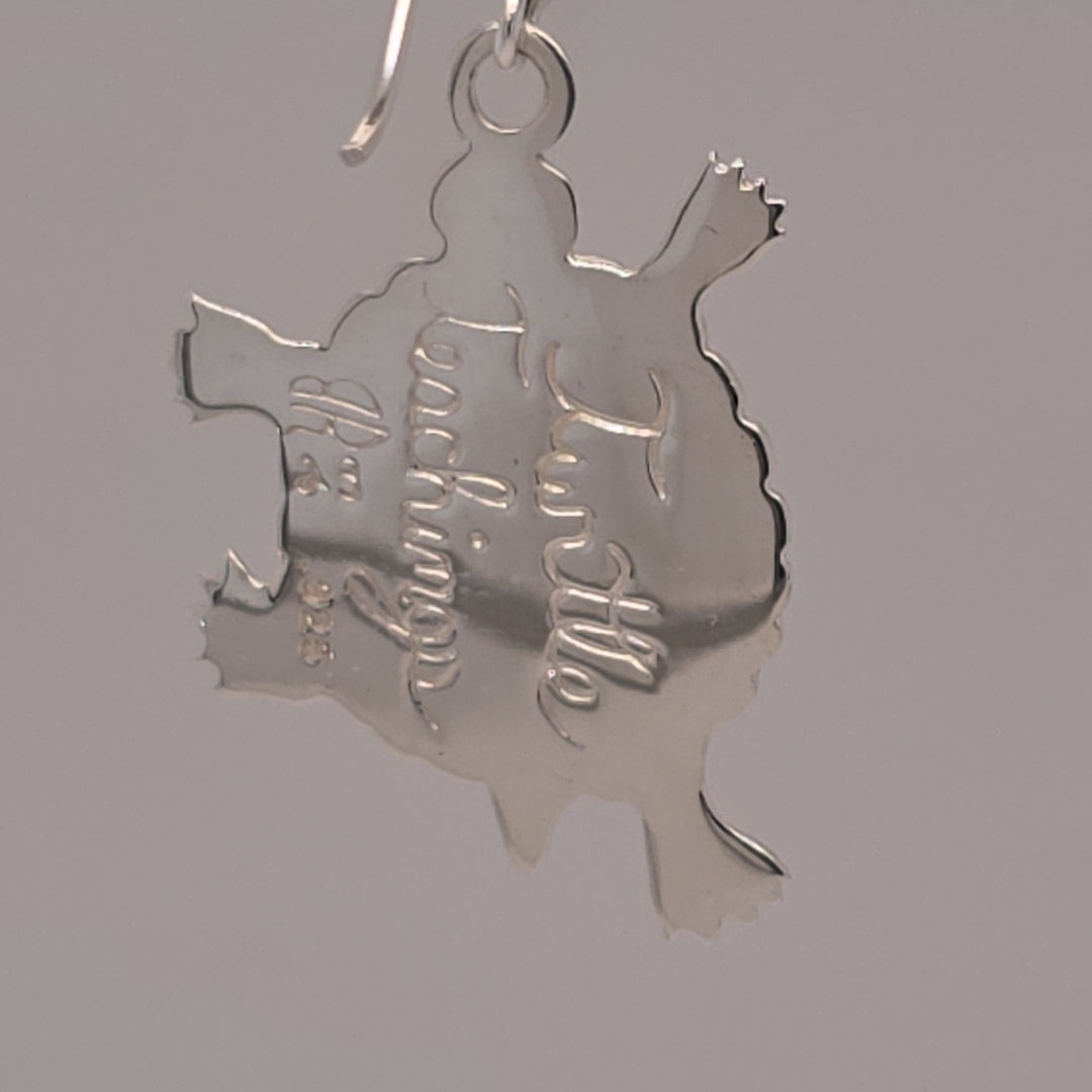 Turtle Teachings Silver Pendant