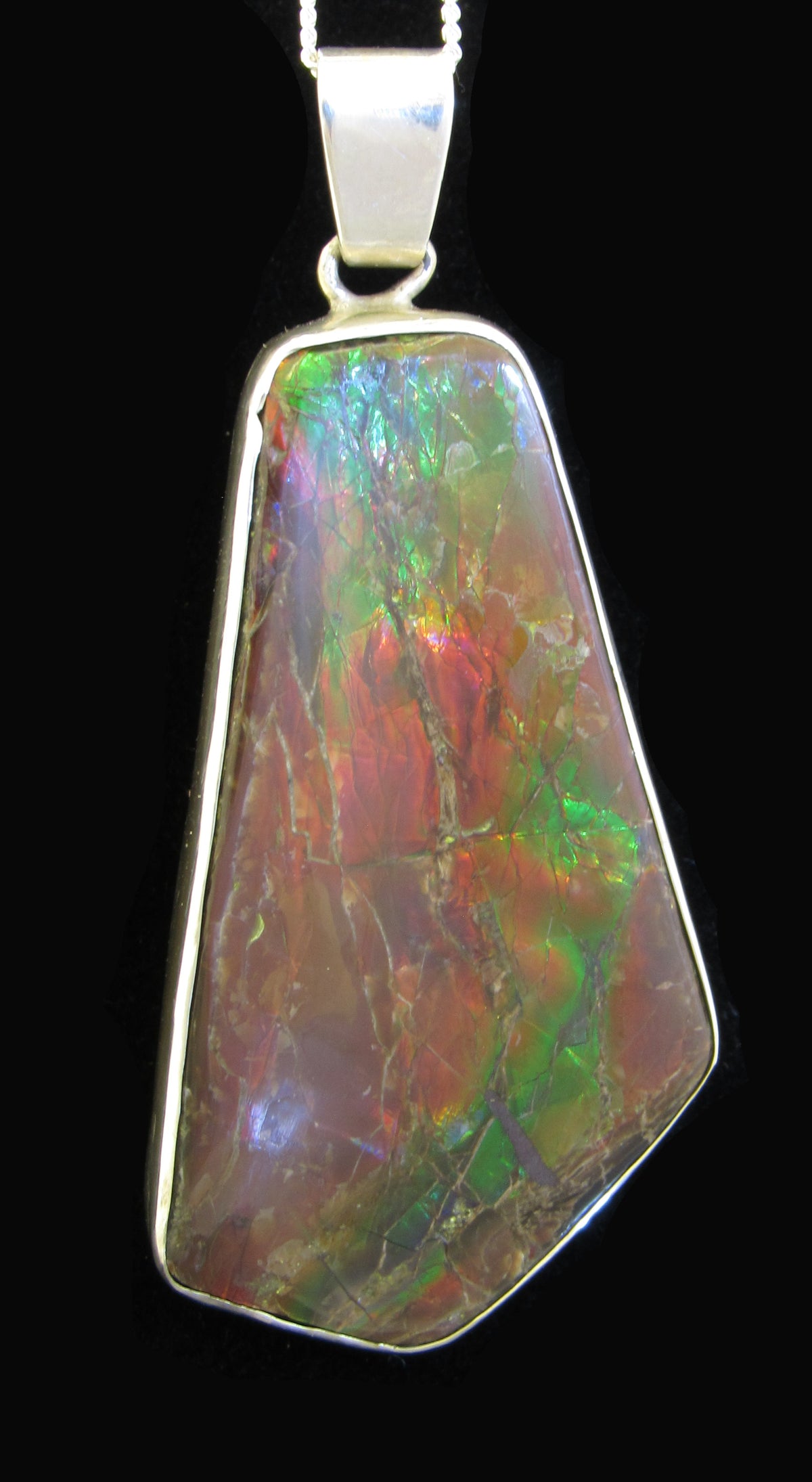 Ammolite Silver Pendant With Chain